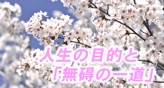 親鸞会 人生の目的と「無碍の一道」