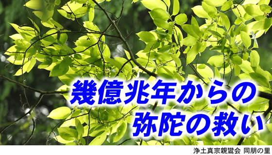 親鸞会 幾億兆年からの弥陀の救い