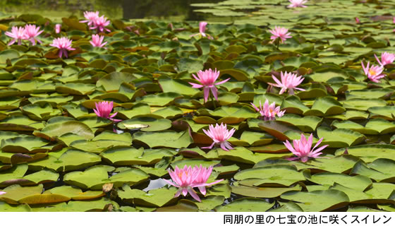 親鸞会の富山南砺会館