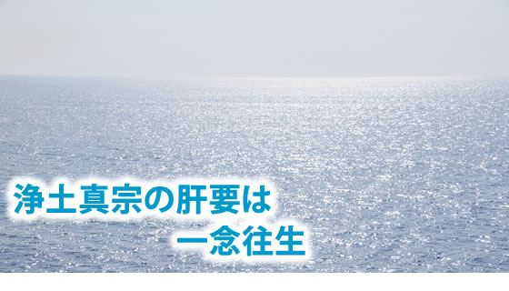 海