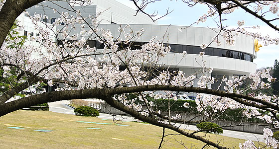 親鸞会 会員の声